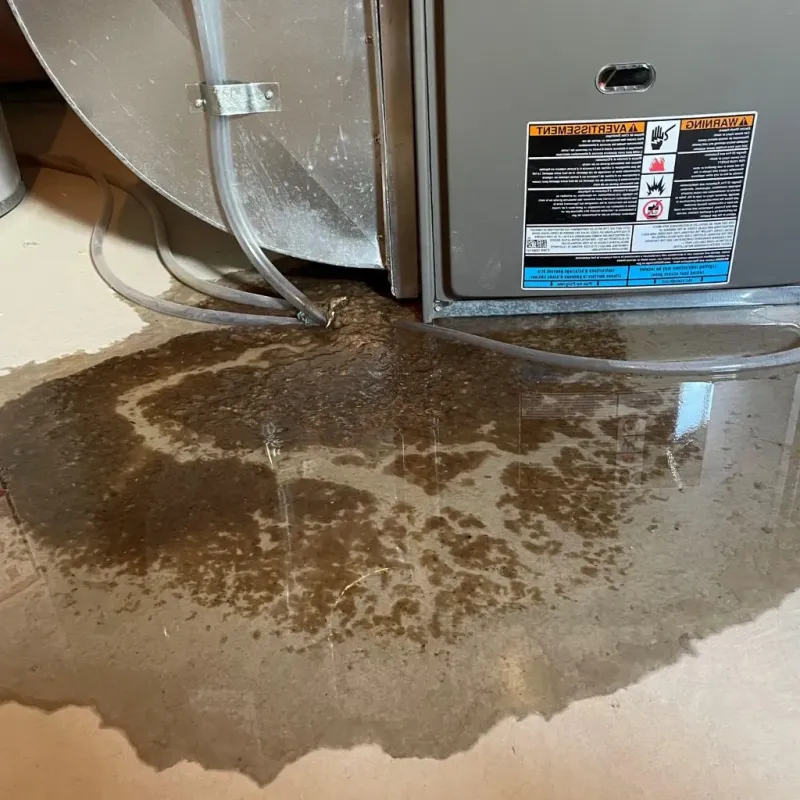Pipe Burst and Leak Restoration in Beaver County, UT