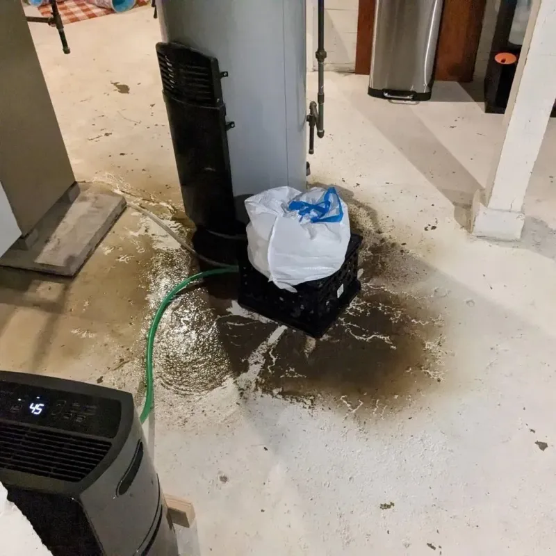 Sewage Backup Cleanup Service in Beaver County, UT